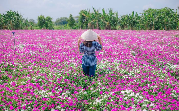 Kinh nghiệm khám phá Phú Yên - Điều bạn không thể bỏ qua