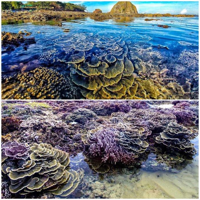 Hòn Yến Phú Yên - Nơi thú vị với vẻ đẹp thanh bình và thơ mộng