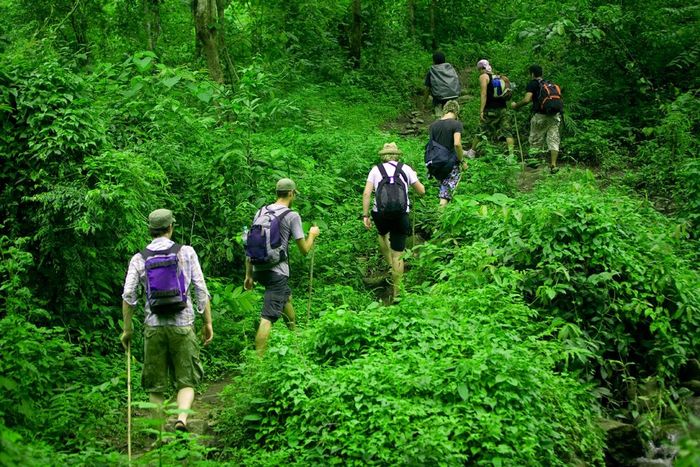 Hướng dẫn khám phá vườn quốc gia Phú Quốc 7