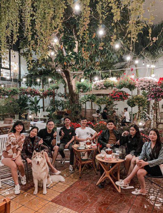 Alice Tea Room - Thiên đường mộng mơ ở Phú Yên