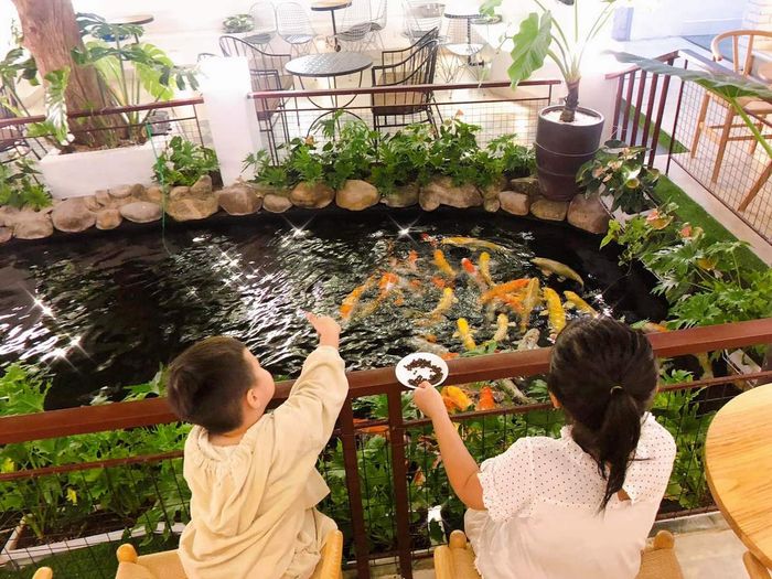 KOI café Phú Yên – Quán cà phê cá Koi đầu tiên tại Phú Yên 6
