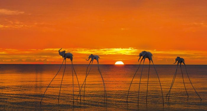 Bãi Trường – Thiên đường sống ảo thu hút hàng ngàn du khách đến Phú Quốc 6