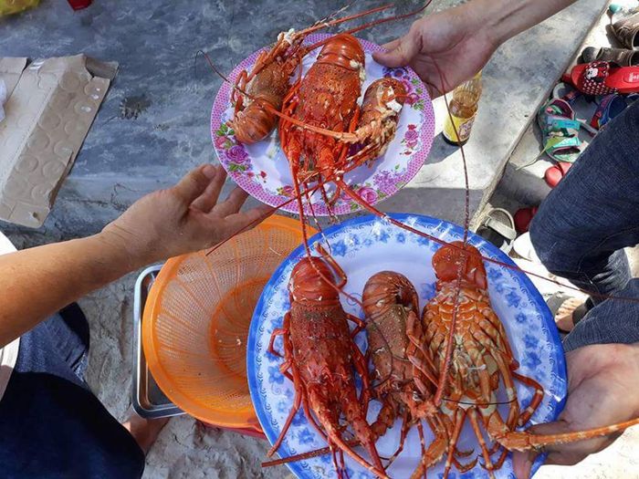 Thán phục trước vẻ đẹp hoang sơ của bãi biển Vịnh Hoà Phú Yên 8