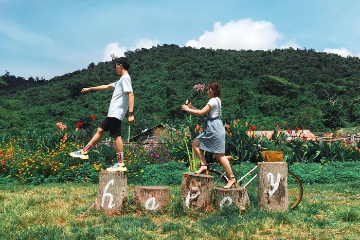 Top 4 điểm du lịch sinh thái Phú Yên đẹp đến say lòng 6