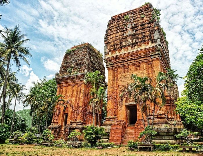 Đánh Giá Chi Tiết Về Lịch Trình Khám Phá Quy Nhơn - Phú Yên Trong 6 Ngày 5 Đêm Tự Túc 6