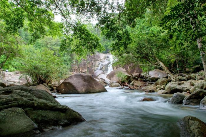 Thác Bà Tánh Linh - Vẻ đẹp hoang sơ của núi rừng Bình Thuận 2