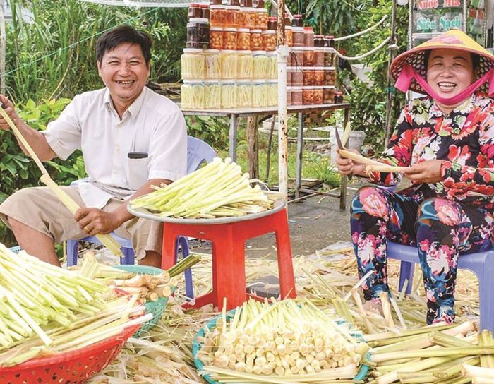 Hương vị Dưa bồn bồn Sóc Trăng giữa cơn mưa dày đặc 3