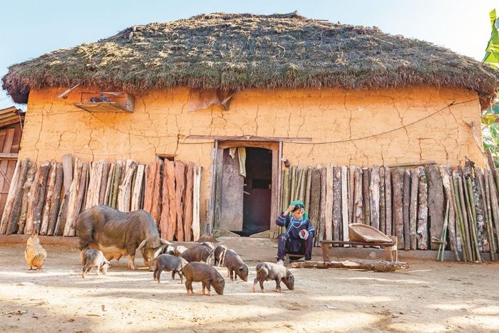 Khám phá và trải nghiệm Y Tý cùng Travel Blogger Quỷ Cốc Tử 23