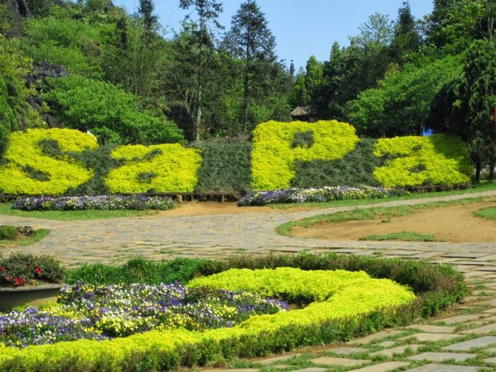 Núi Hàm Rồng Sapa - Đỉnh núi hình đầu rồng nổi tiếng của thành phố sương mờ