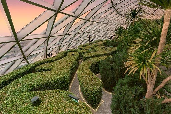 Jewel Changi - Một kiệt tác kiến trúc hòa quyện với thiên nhiên tại Singapore.