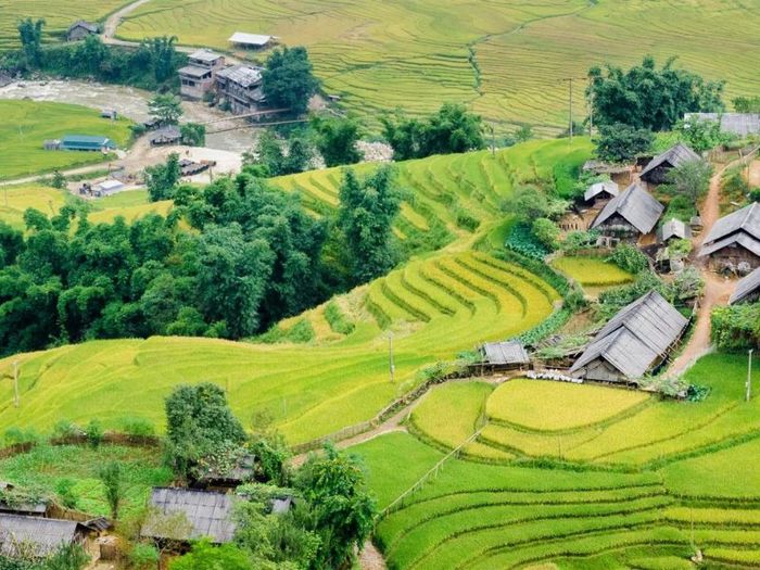 Đi Sapa vào mùa nào là đẹp nhất? Những thời điểm vàng cho những chuyến đi