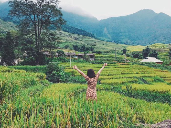 Vẻ đẹp lấp lánh của bản Tả Van Sapa 2