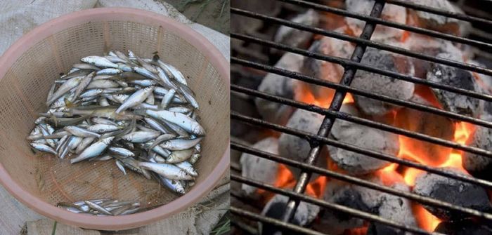 Trải nghiệm đặc sản cá suối nướng tại Sapa - Món ngon đậm chất vùng cao Tây Bắc 3
