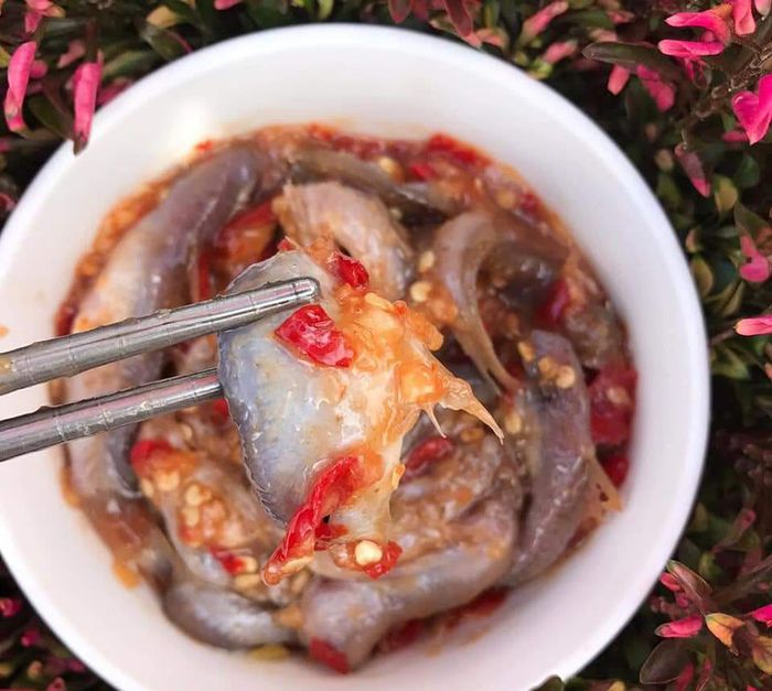 Khám phá hương vị đặc biệt của Lẩu mắm Sóc Trăng, một trong những đặc sản nổi tiếng không chỉ trong vùng mà còn được biết đến xa xôi.