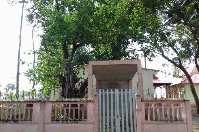 Chùa Sala Phothi Seray Sakô nổi tiếng với ngôi mộ cá Ông được xây dựng vào năm 2013. Ngôi mộ được xây dựng khang trang trong khuôn viên chùa và thu hút hàng ngàn tín đồ đến cúng bái vào ngày giỗ cá Ông mùng 7/9 âm lịch hàng năm.