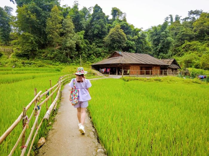 Khám phá cảnh đẹp tại Séo Mý Tỷ - Điểm check-in thú vị khi bạn ghé thăm Sapa 4