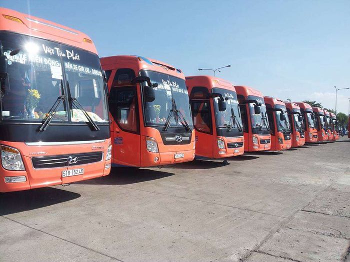 Kinh nghiệm phượt Gia Lai cho những nhóm yêu khám phá 3