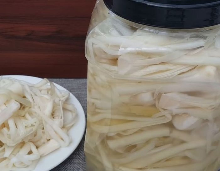 Hương vị Dưa bồn bồn Sóc Trăng giữa cơn mưa to đậm