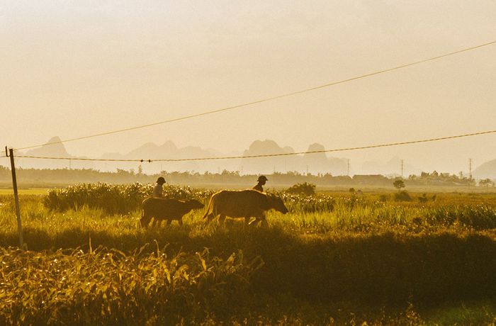 Nghe Cáp Lộc Hàn Vũ đánh giá về Quảng Bình trong những buổi chiều êm dịu như làn gió nhẹ