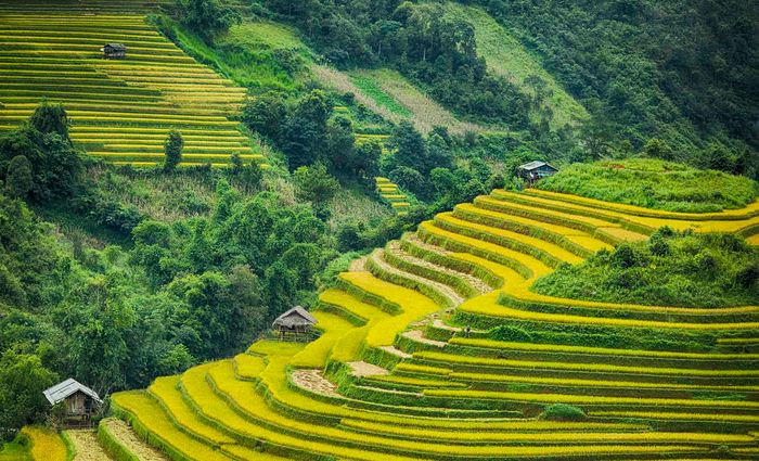 Khám phá Sapa - Thiên đường bốn mùa mây