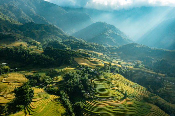 Vẻ đẹp tuyệt vời của mùa vàng Sapa như tranh vẽ