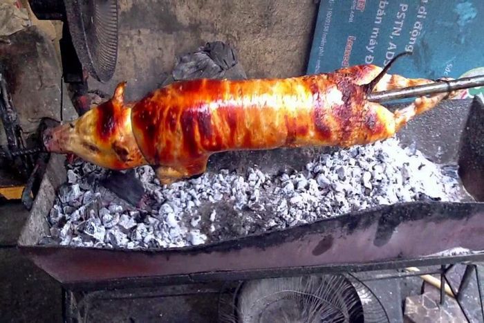 Thịt lợn cắp nách - Loại thịt rừng được người đam mê ẩm thực săn lùng 5