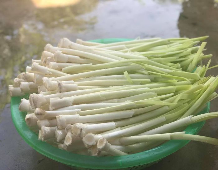 Hương vị Dưa bồn bồn Sóc Trăng giữa cơn mưa dày đặc 2