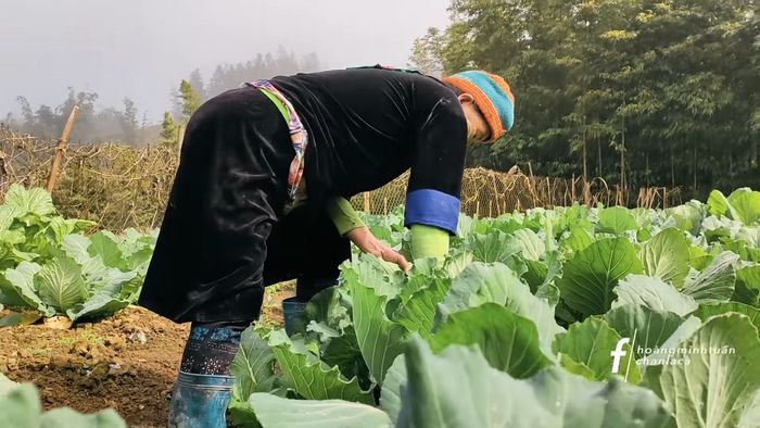 Trải nghiệm cuộc sống thanh niên vùng cao cùng Chan La Cà tại Sapa 7