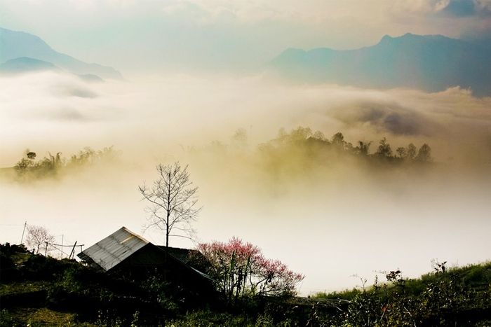 Thanh xuân, không gì bằng trải nghiệm Y Tý săn mây như Travel Blogger Quỷ Cốc Tử 3