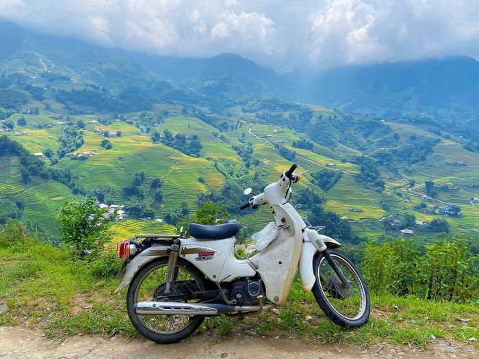 Khám phá Sapa thơ mộng và chinh phục những cung đường khó nhằn cùng chiếc cub ngựa chiến 5