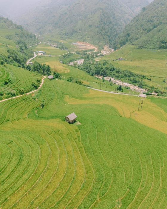 Khám phá vẻ đẹp mộc mạc của Nậm Cang trong mùa lúa chín số 5
