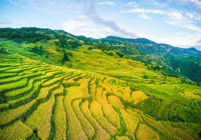Thanh xuân không thể thiếu chuyến hành trình đến Y Tý săn mây như Travel Blogger Quỷ Cốc Tử 8