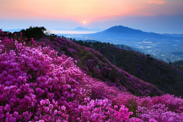 Thanh xuân không thể thiếu chuyến hành trình đến Y Tý săn mây như Travel Blogger Quỷ Cốc Tử 15