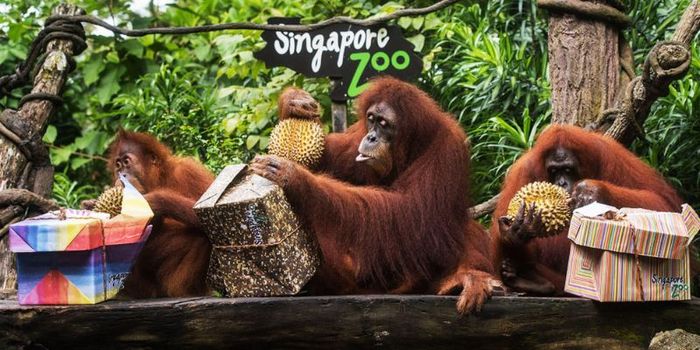 Gợi ý lịch trình du lịch Singapore 4 ngày 3 đêm tốt nhất 10