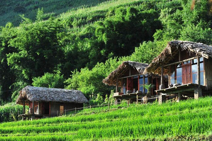 Vẻ đẹp lung linh của bản Tả Van Sapa 3