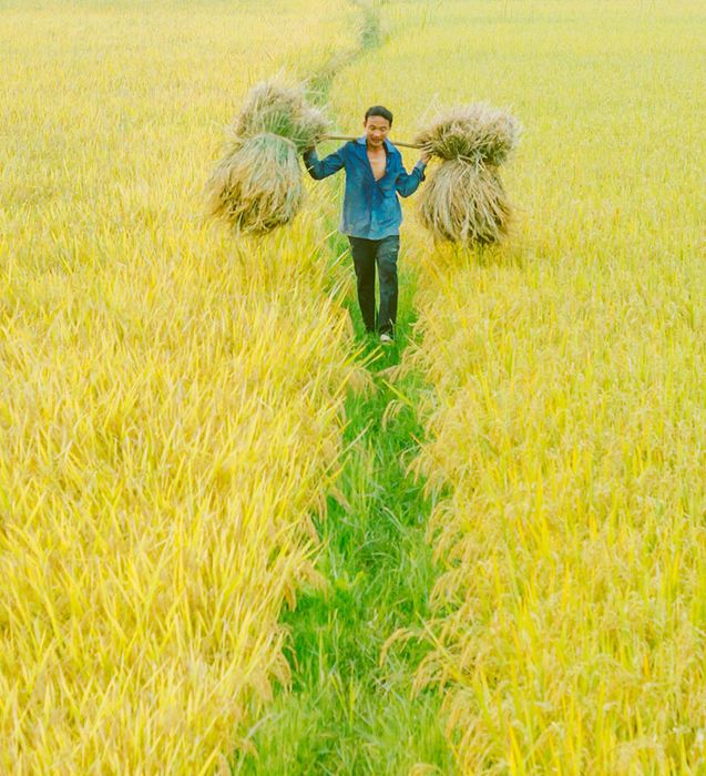 Nghe Cáp Lộc Hàn Vũ phê bình về Quảng Bình trong những buổi chiều êm dịu như làn gió nhẹ