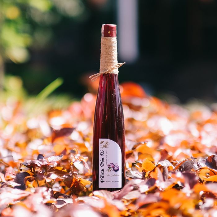 Mận Sapa, đào rọ - Hương vị tuyệt vời từ núi rừng Tây Bắc 5