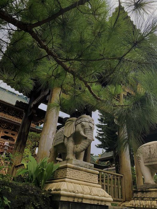Tới Chùa Minh Thành, bạn sẽ được trầm mình trong âm thanh thanh tịnh của thiền định