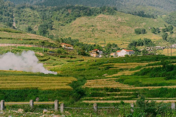 Bức tranh mùa vàng trên Bản Tả Van toát lên vẻ dịu dàng trong ánh nhìn của du khách khắp nơi 6