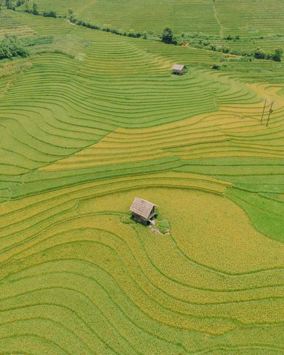 Khám phá vẻ đẹp mộc mạc của Nậm Cang trong mùa lúa chín số 4