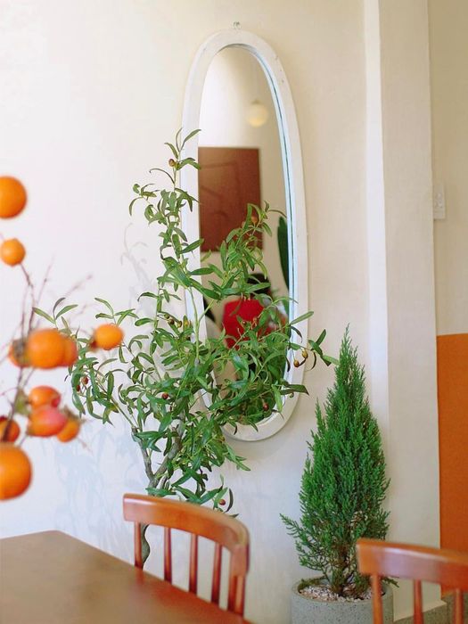 Thăm Tiệm Trà Bánh TaChi vào cuối tuần để thưởng ngoạn không gian đẹp mắt và thư giãn 9