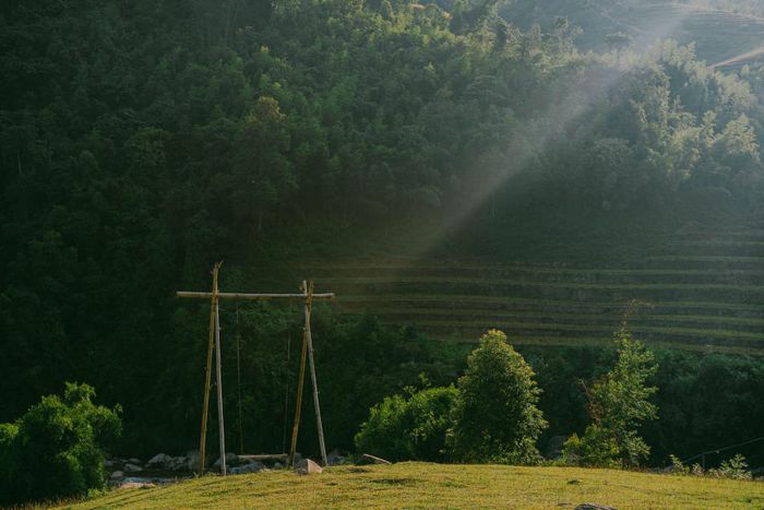 Bức tranh mùa vàng trên Bản Tả Van mang lại cảm giác dịu dàng trong ánh nhìn của du khách khắp nơi 9