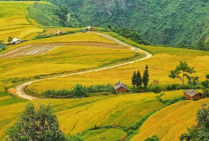 Thanh xuân không thể thiếu chuyến hành trình đến Y Tý săn mây như Travel Blogger Quỷ Cốc Tử 10