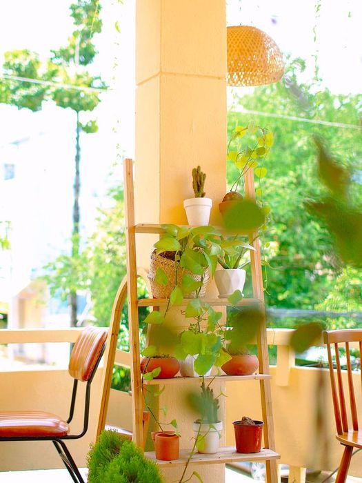 Thăm Tiệm Trà Bánh TaChi vào cuối tuần để thưởng ngoạn không gian đẹp mắt và thư giãn 8