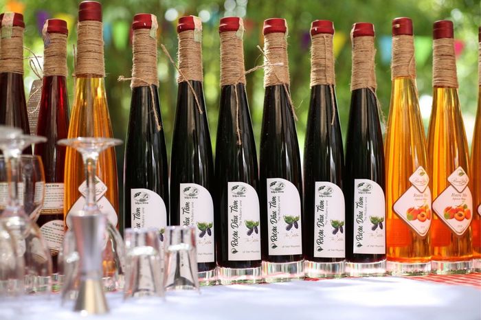 Mận Sapa, đào rọ - Niềm vui từ những quả ngon trên núi rừng Tây Bắc 11