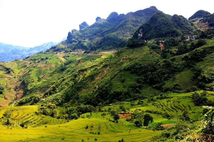 Mường Khương Sapa - Nơi tập trung văn hóa ẩm thực của gần 14 dân tộc Việt Nam 2
