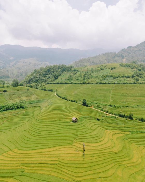 Khám phá vẻ đẹp mộc mạc của Nậm Cang trong mùa lúa chín số 3