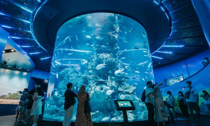 Gợi ý lịch trình tour Singapore 4 ngày 3 đêm lý tưởng nhất 7
