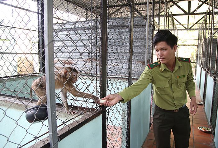 Bí mật kỳ diệu của Địa đạo Củ Chi: Hầm căn cứ lịch sử gây ấn tượng toàn cầu 10