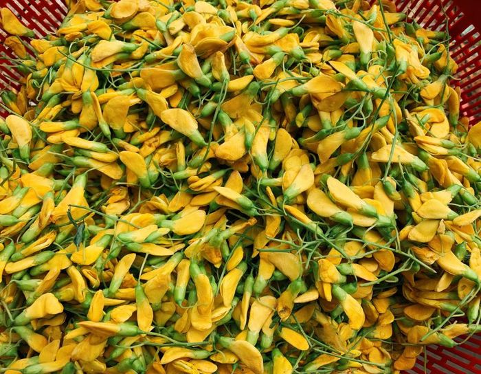 Trải nghiệm món Lẩu cá A Dũn thơm ngon nổi tiếng tại Tây Ninh 6